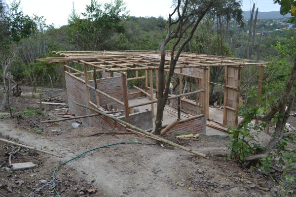 Cut bamboo walls going up